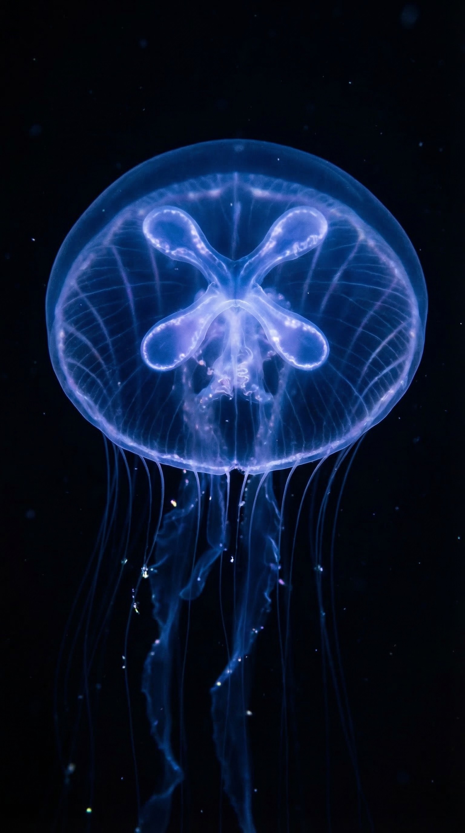 A smiling woman with her arms crossed, standing against a dark green background. She has long, dark hair.