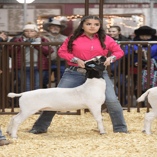 Young woman in pink shirt holding a goat at a livestock show.