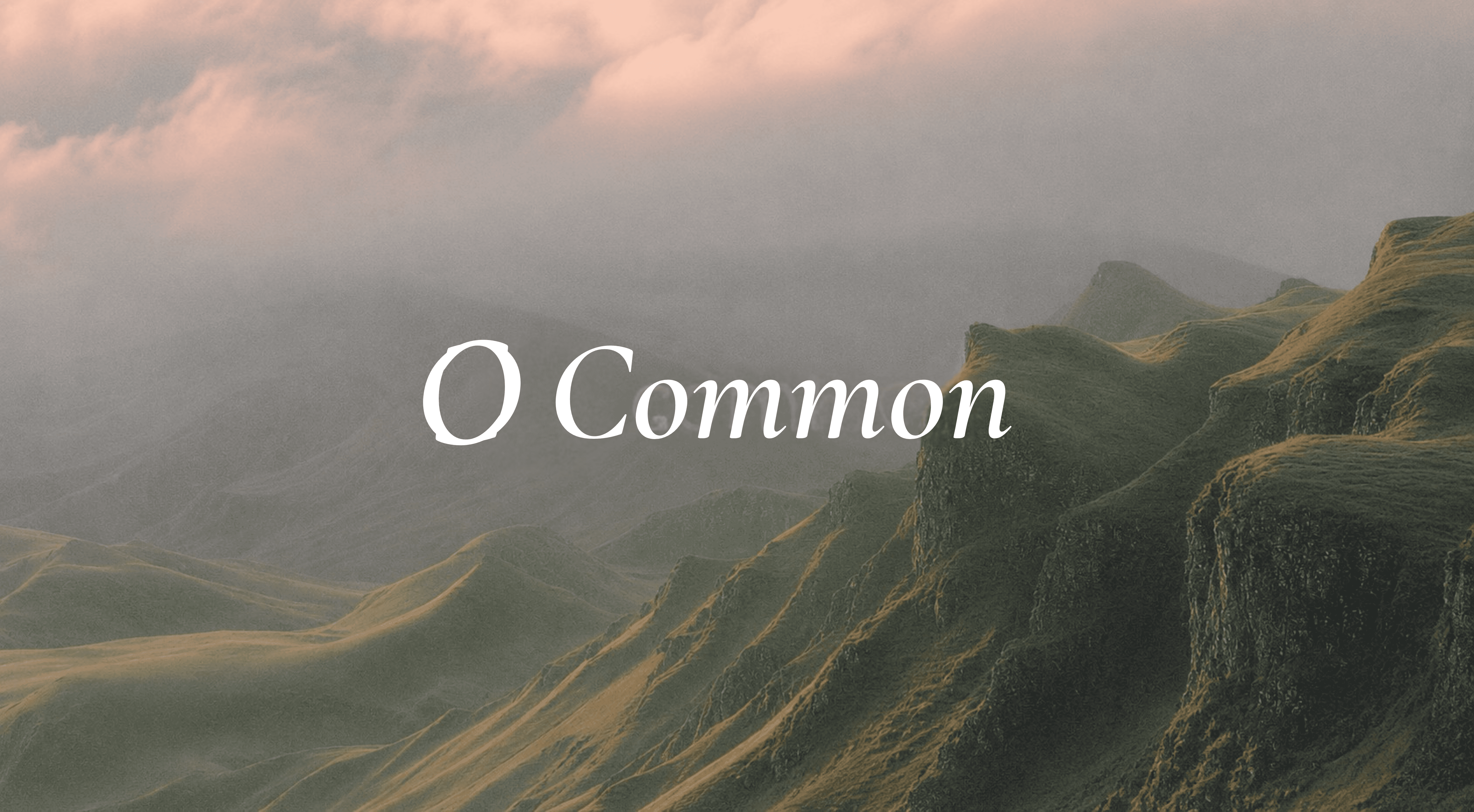 Blog article image