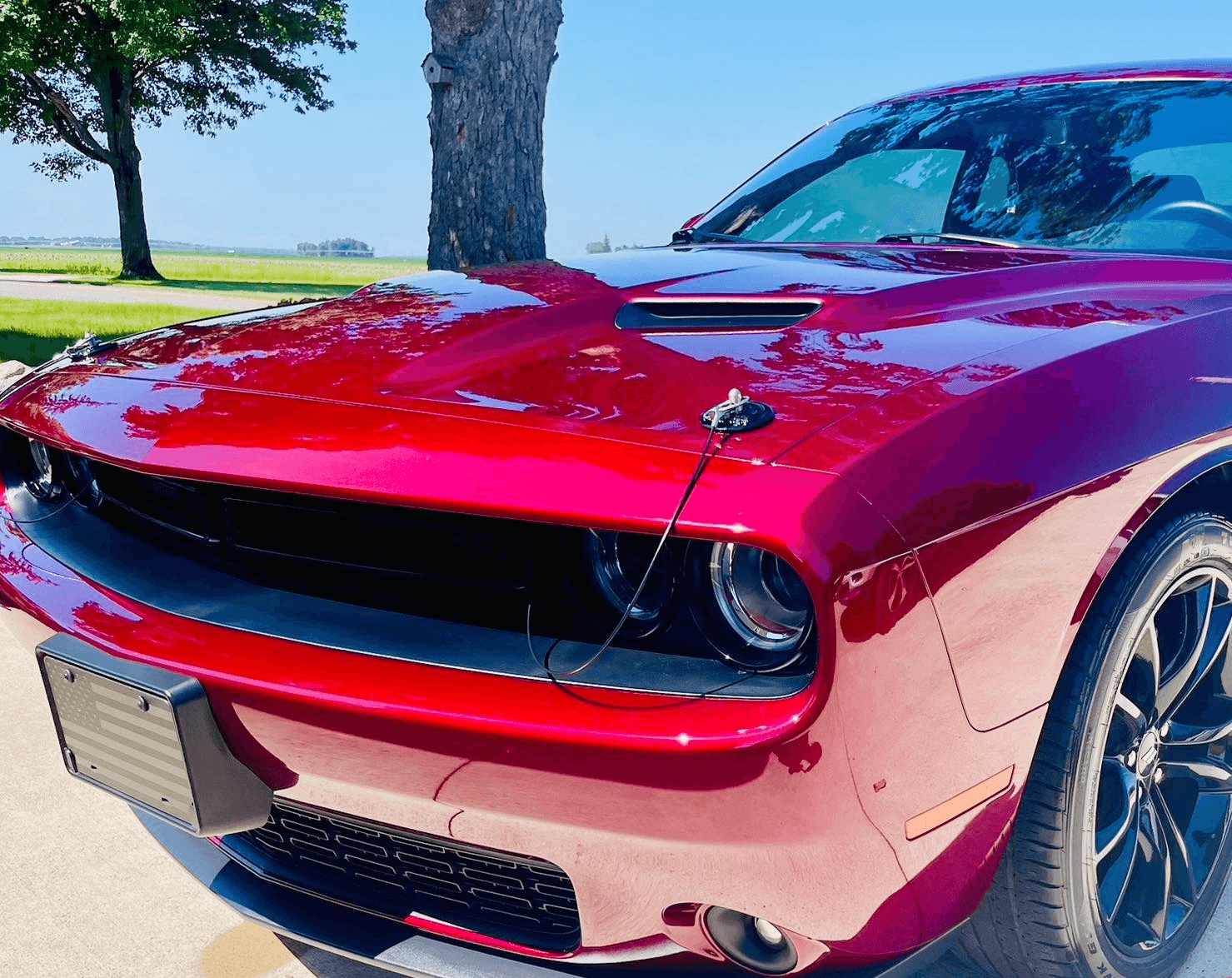 Professional Vehicle Detailing & Vehicle Detailing Elkhart IN