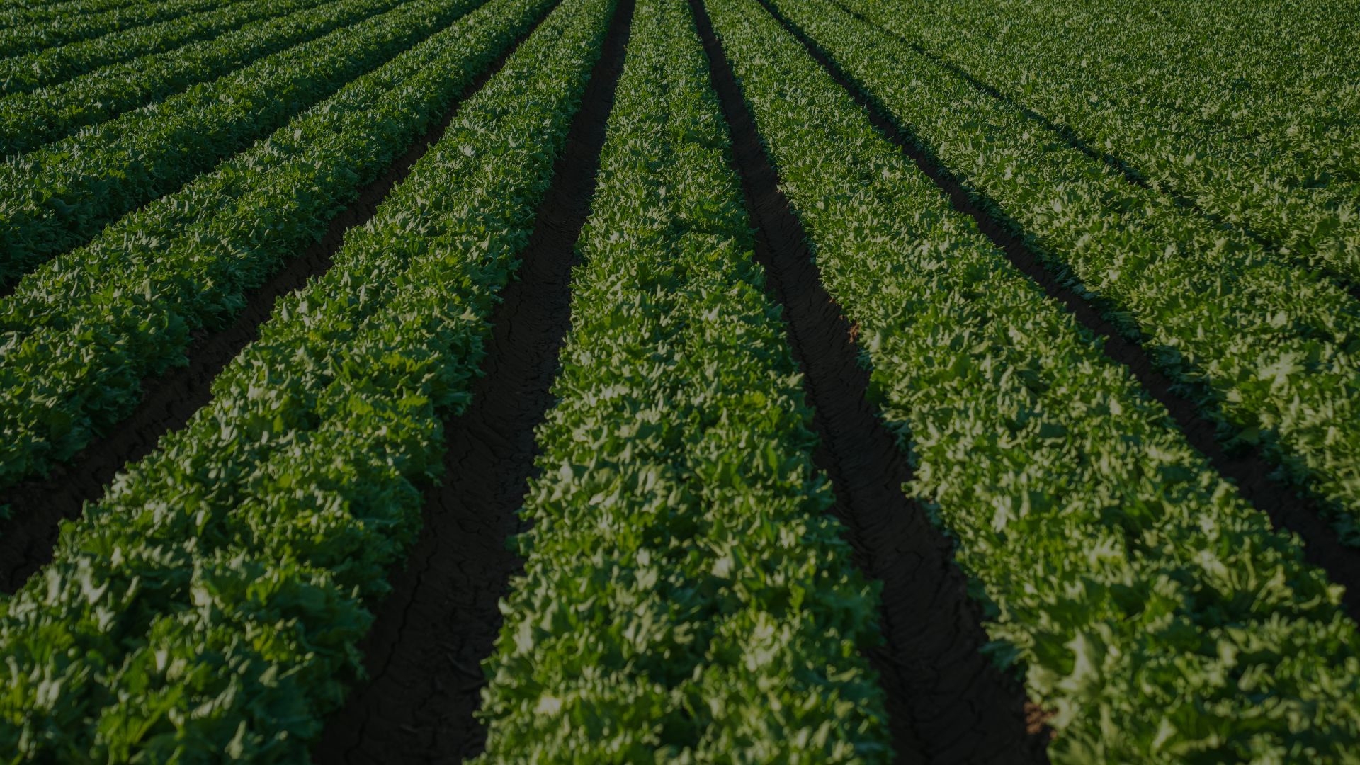 Mountains with clouds on top of them