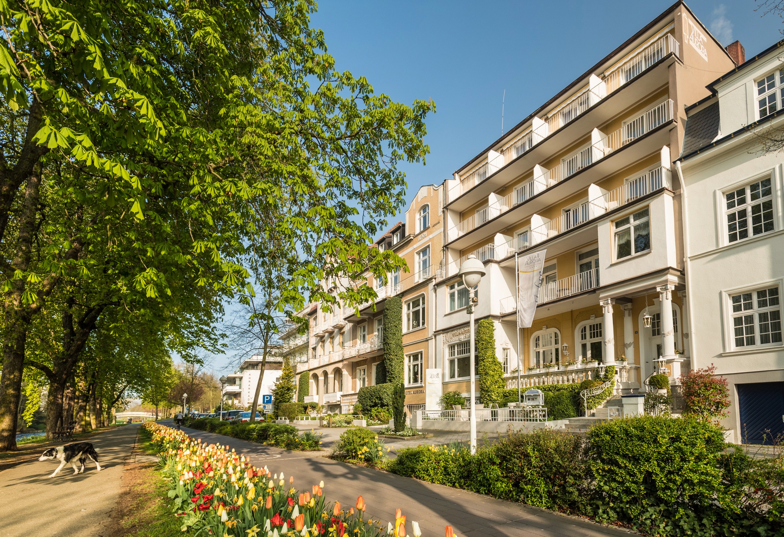 Ahr Bridge in Bad Neuenahr