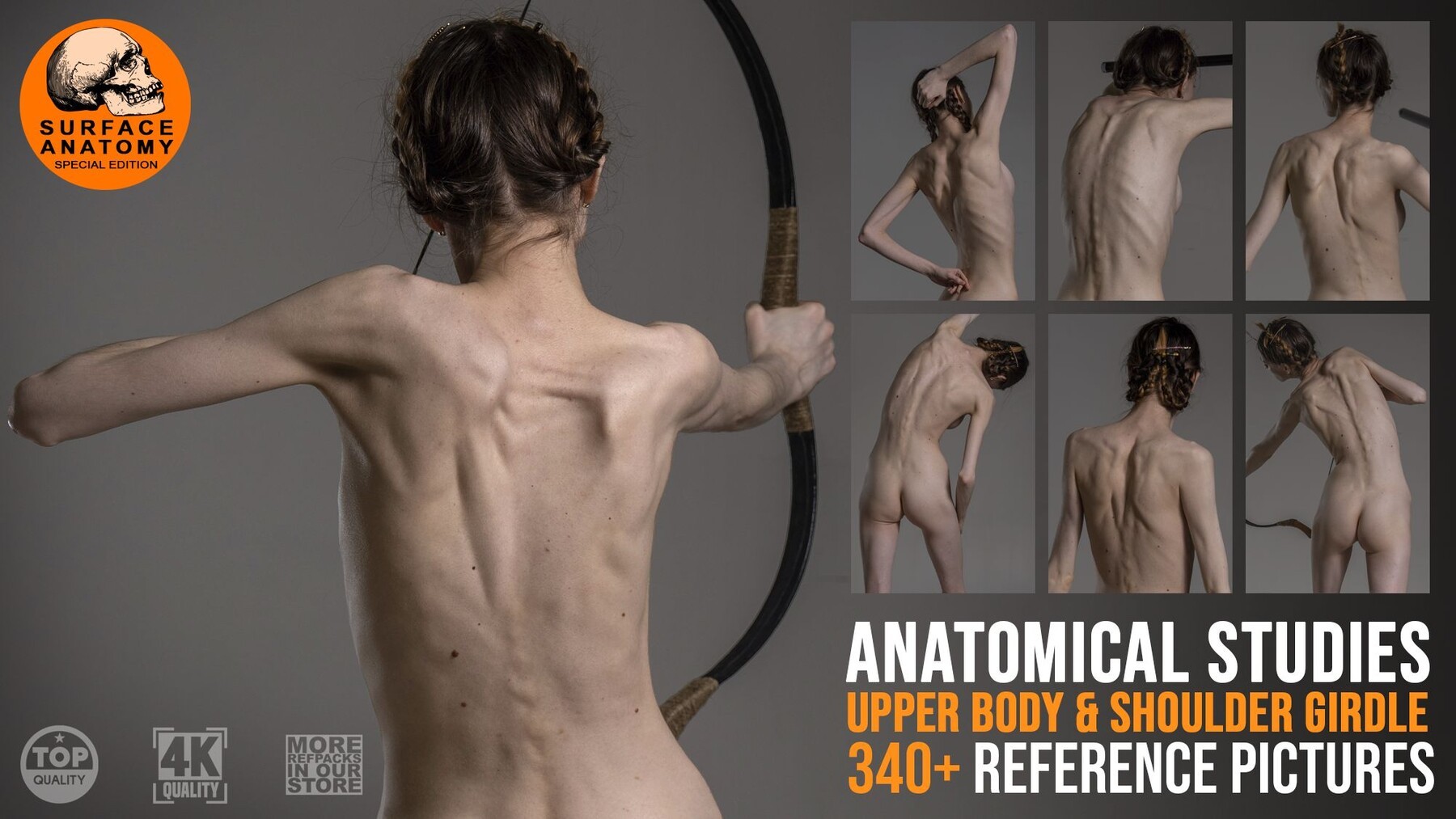 Anatomical Body