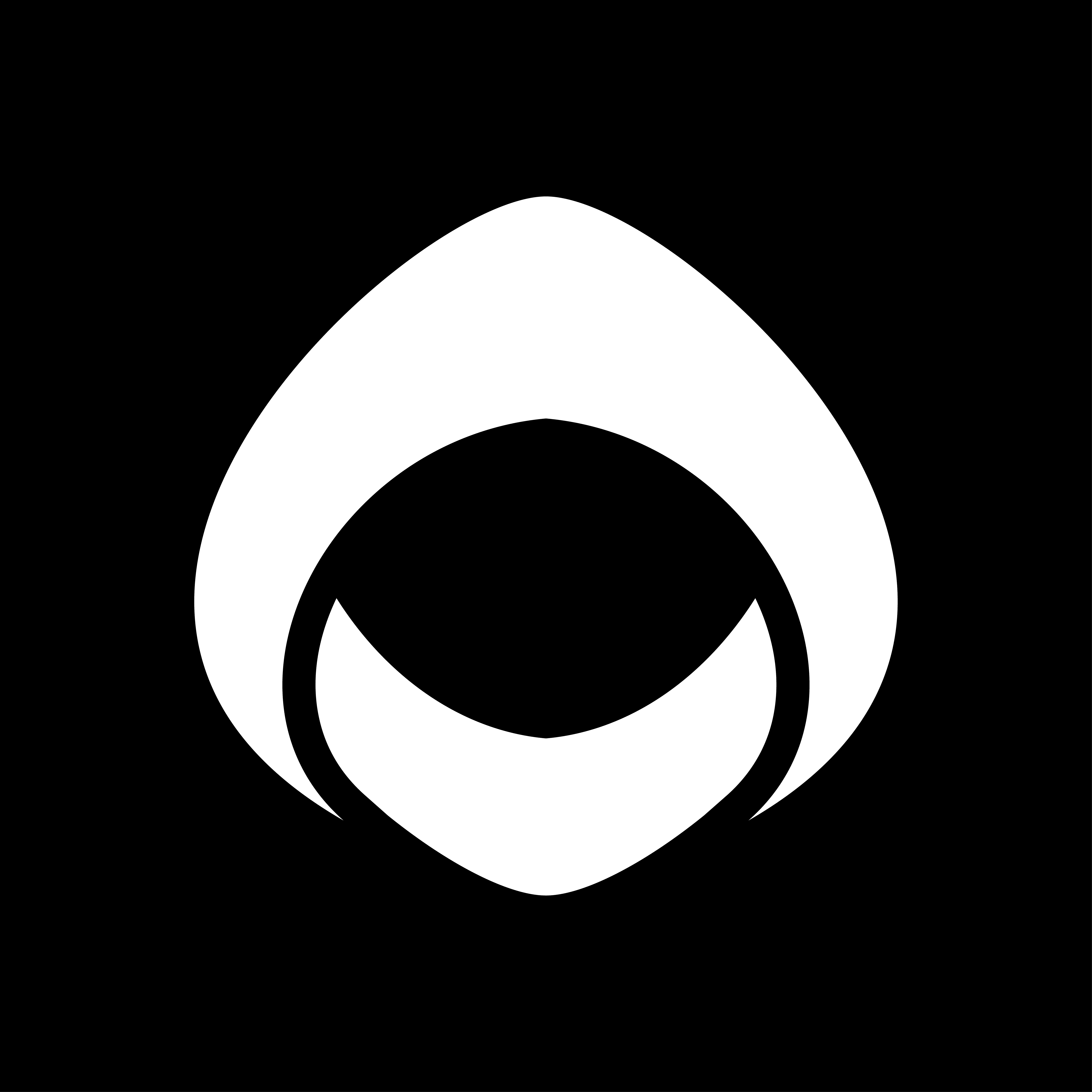 EarlyBird logo — minimal white bird icon on transparent background.