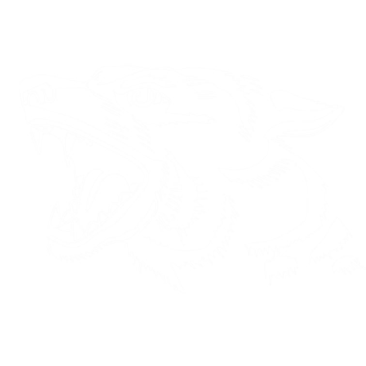 hound ceramics studio fremantle