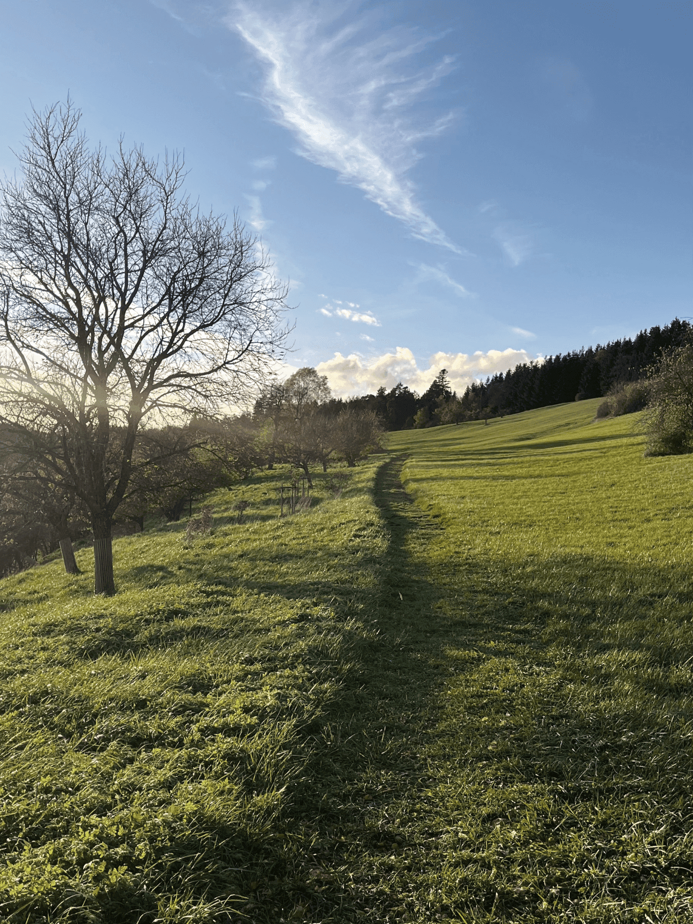 Portrait von Marion StolzCta Image