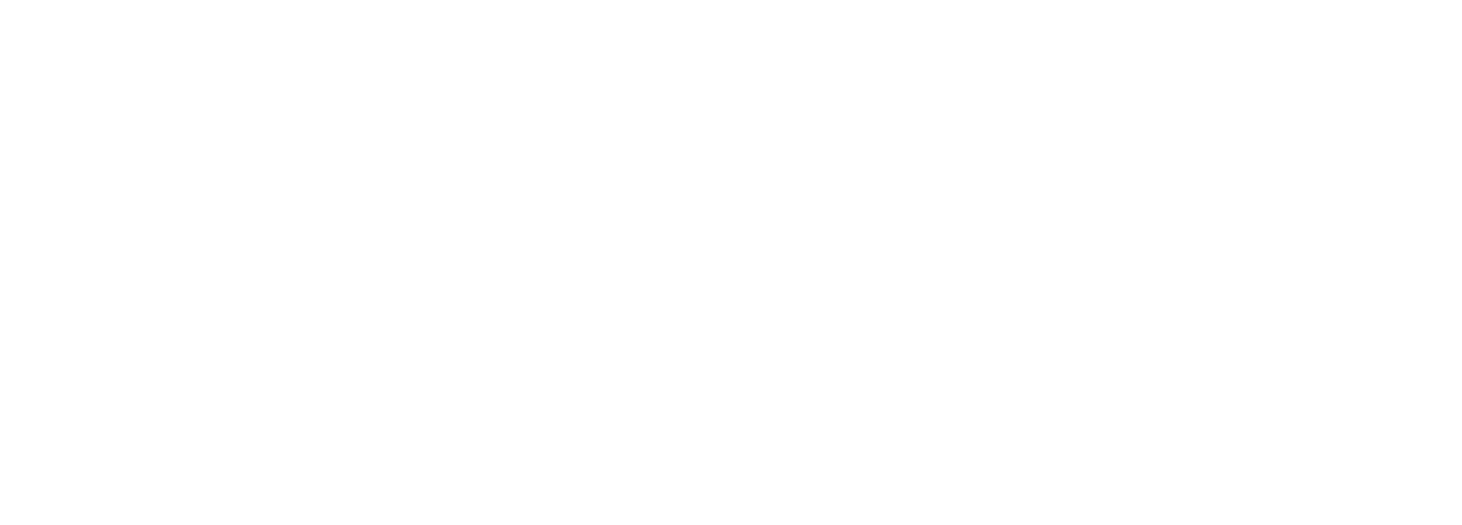 Spin Vet logo