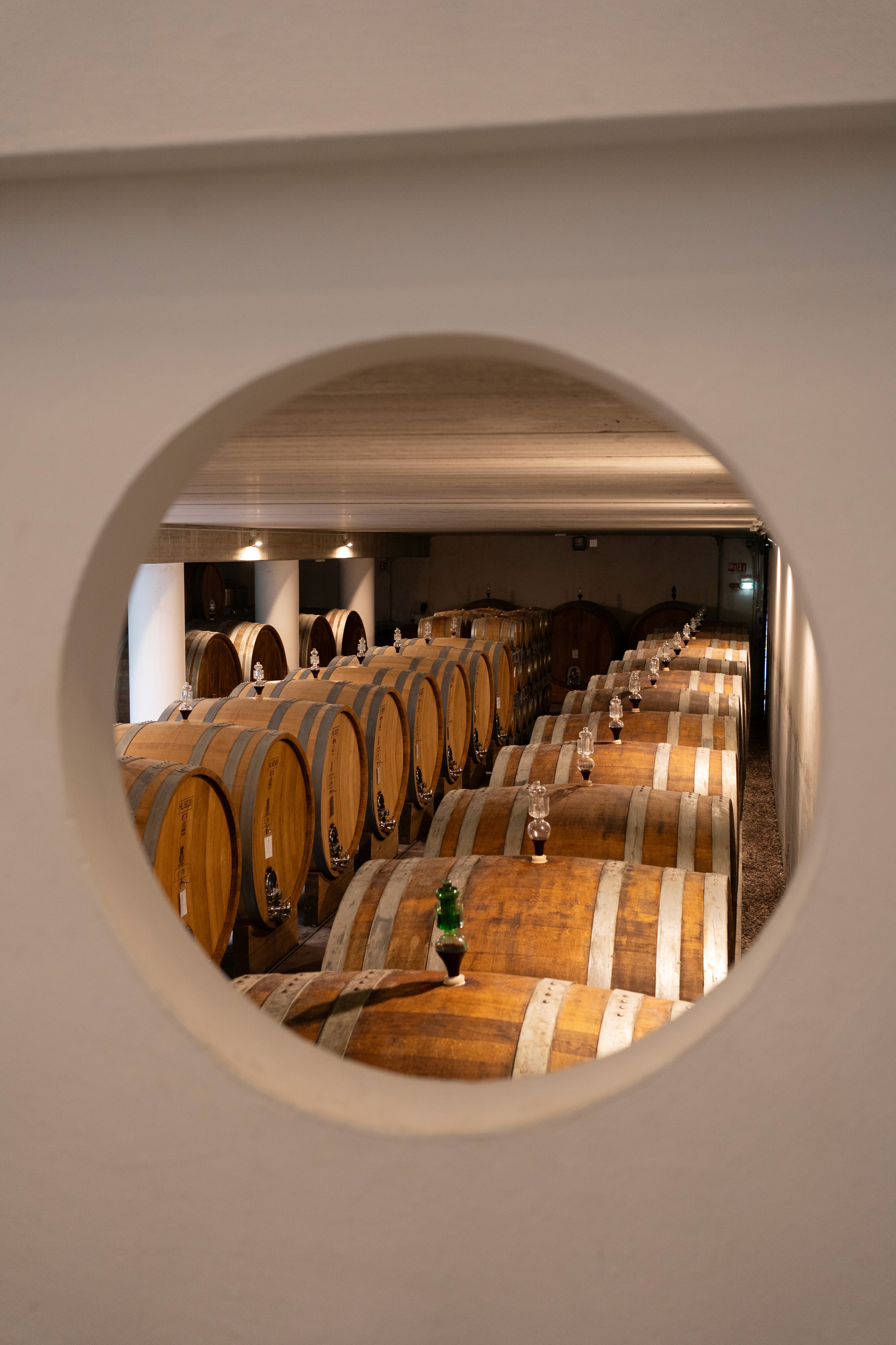 Red wine bottle and grapes with a stylish table setting, wine tasting and luxury experience.