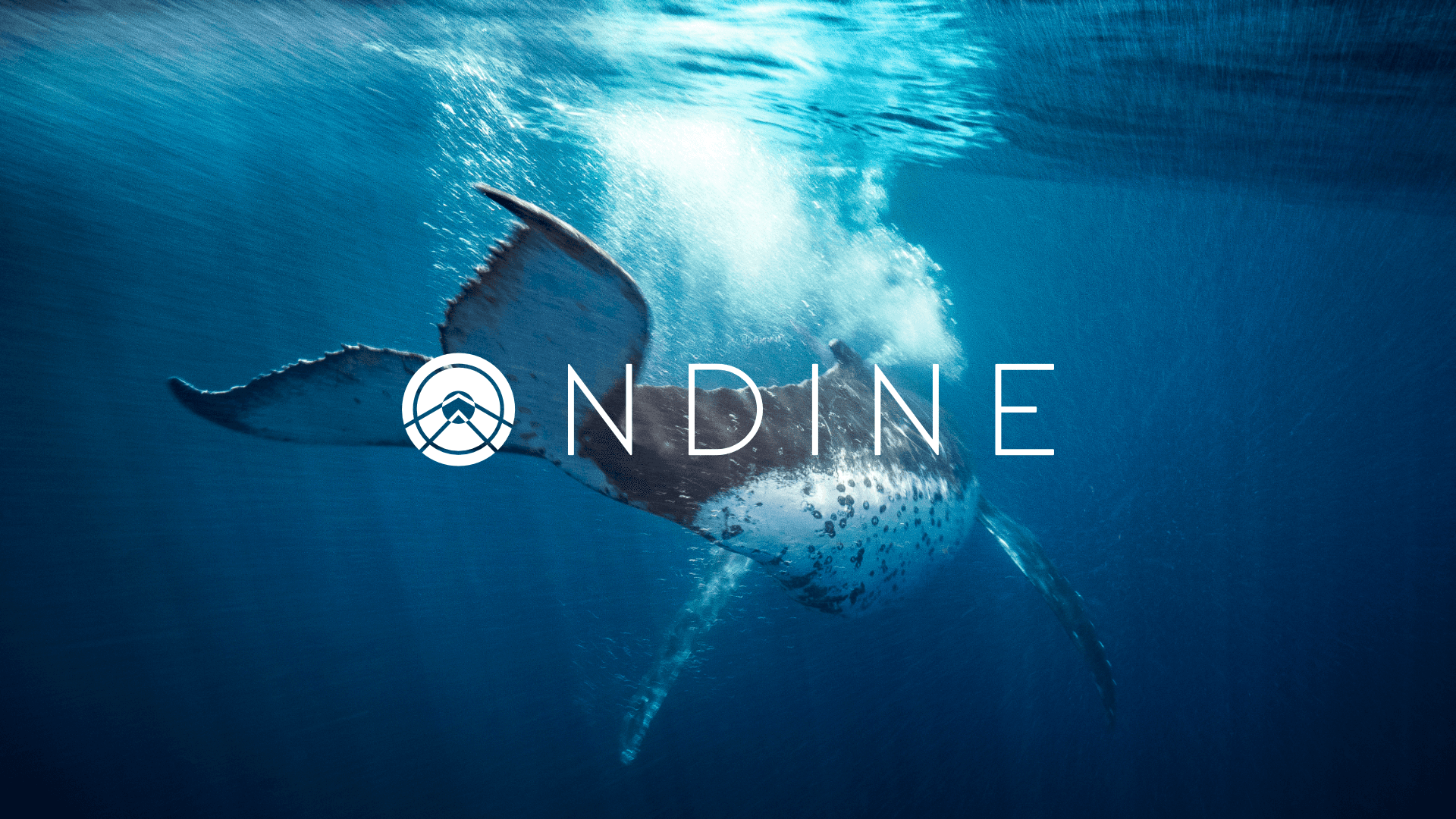 Ondine whale logo – Underwater branding visuals for Irish eco-conscious brand Ondine.