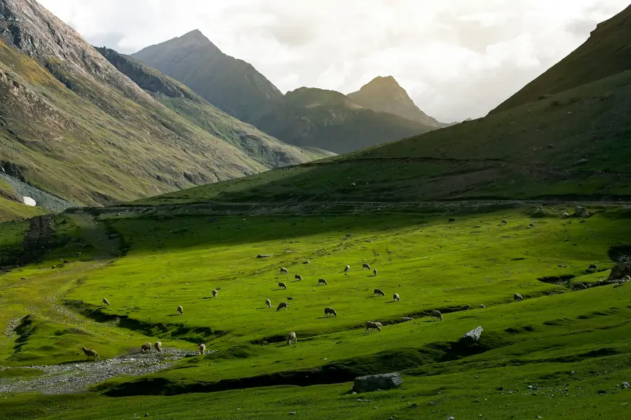 Grünes Tal mit grasenden Nutztieren vor zerklüfteten Bergen bei teilweiser Bewölkung.