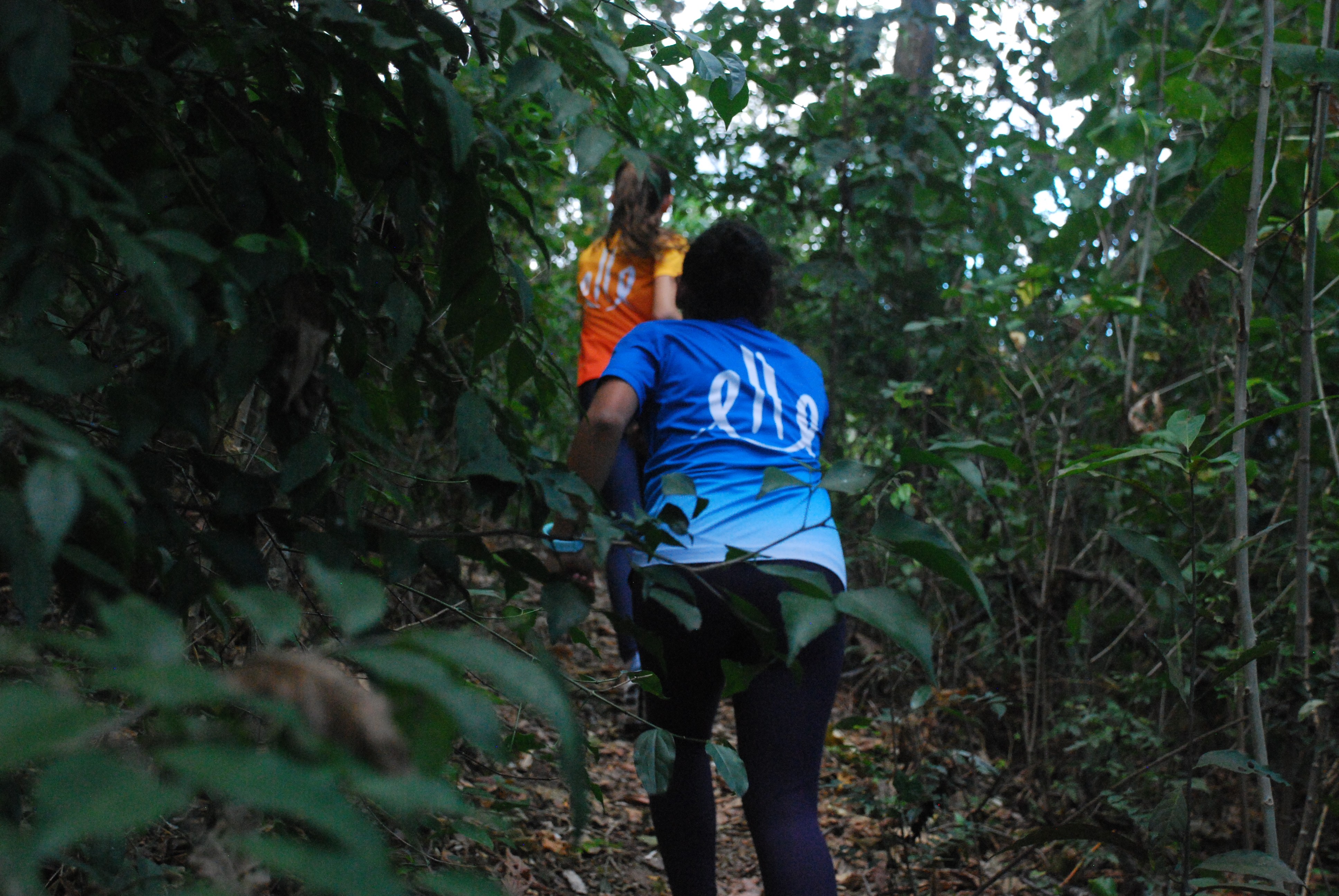 Persona joven con camiseta azul caminando por un sendero denso en el bosque, simbolizando la exploración en la naturaleza