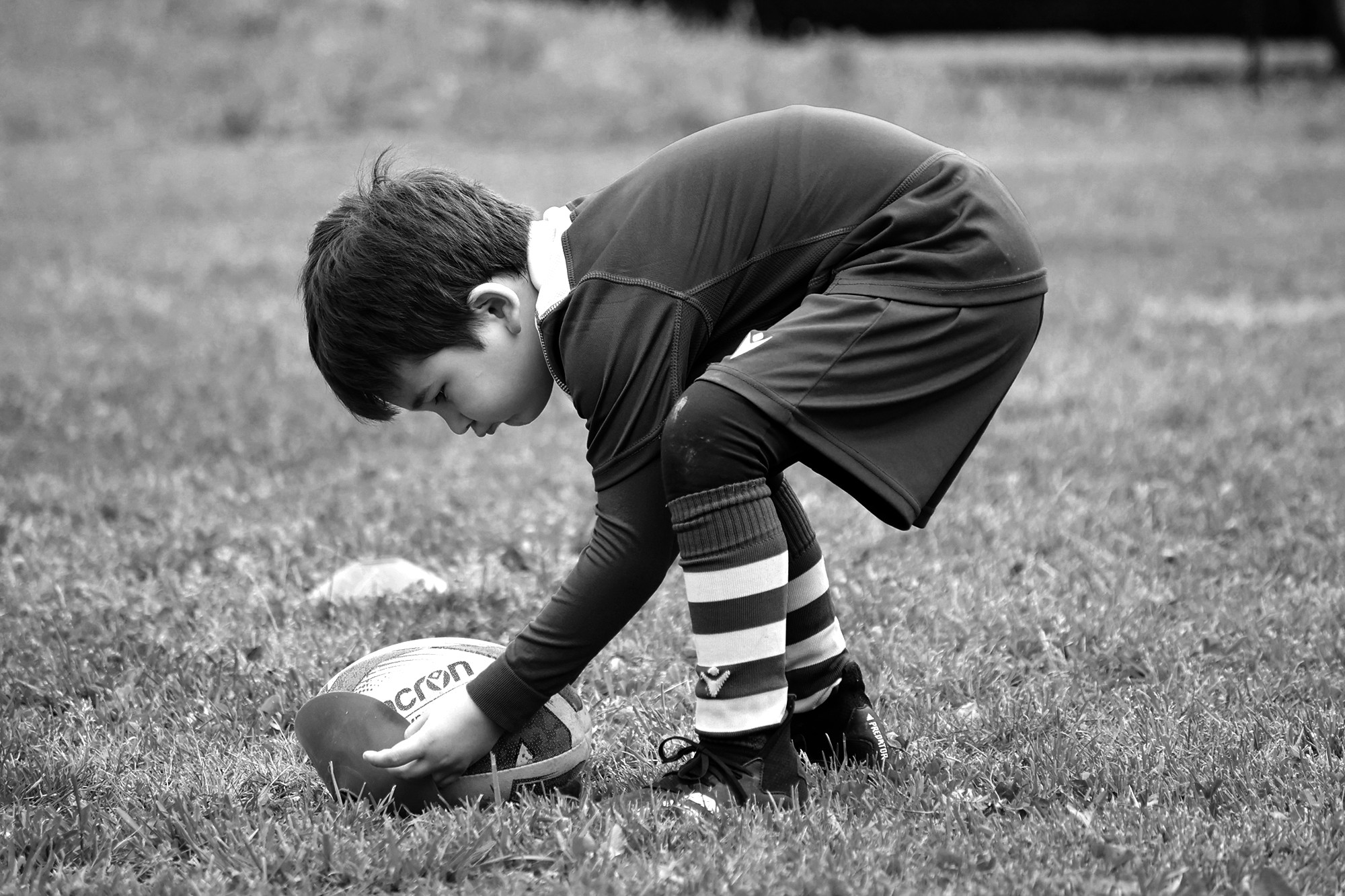 Rugby Parma minirugby