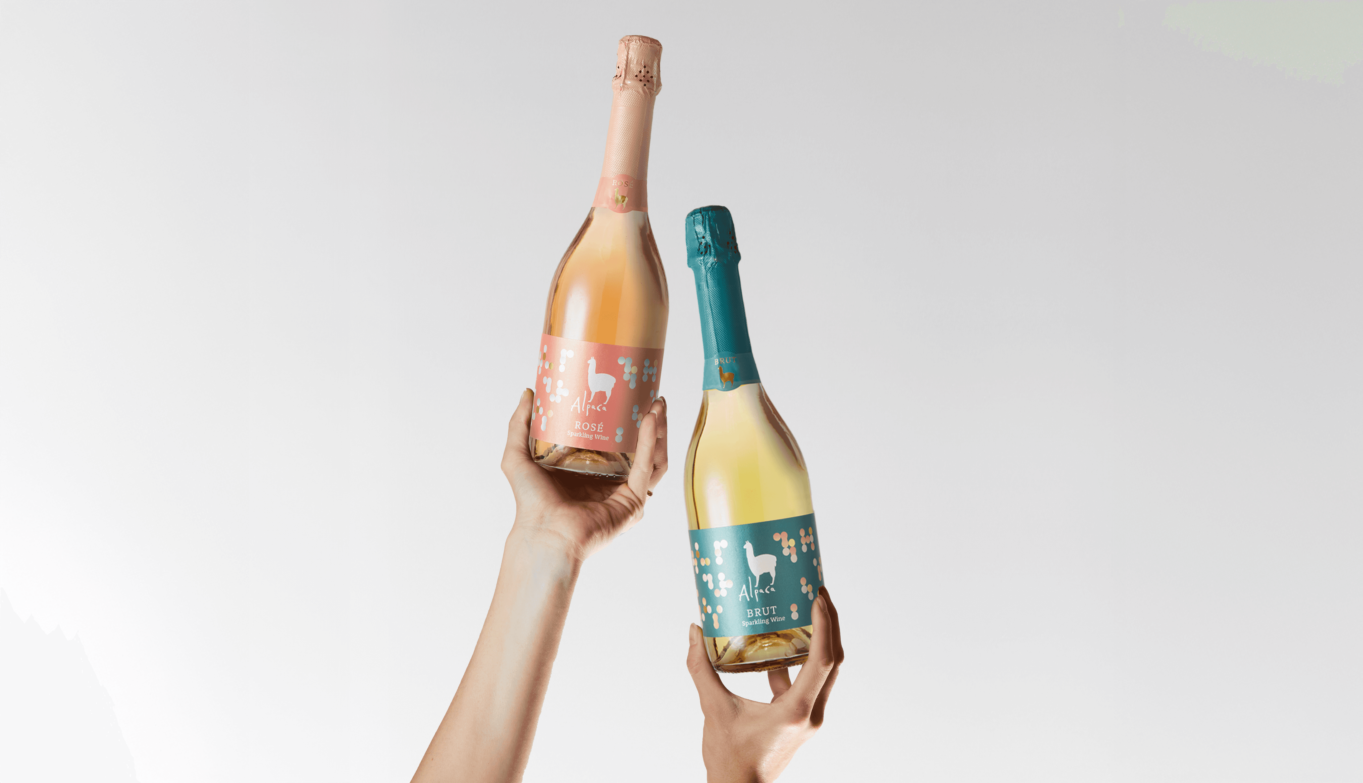 Hand holding an Alpaca Sparkling bottle showcasing the pink playful packaging design.