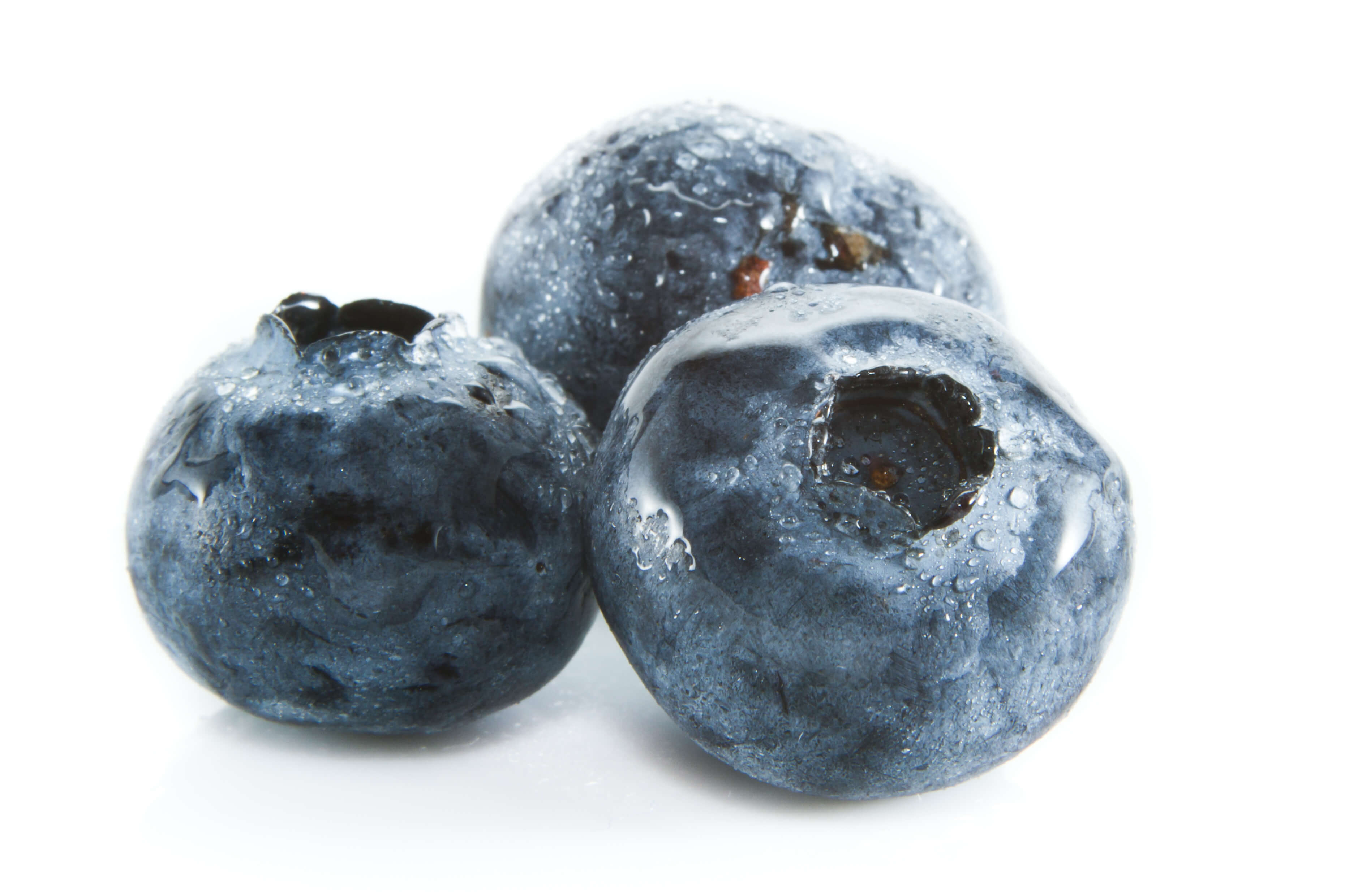 3 Heidelbeeren – Kundenstimmen