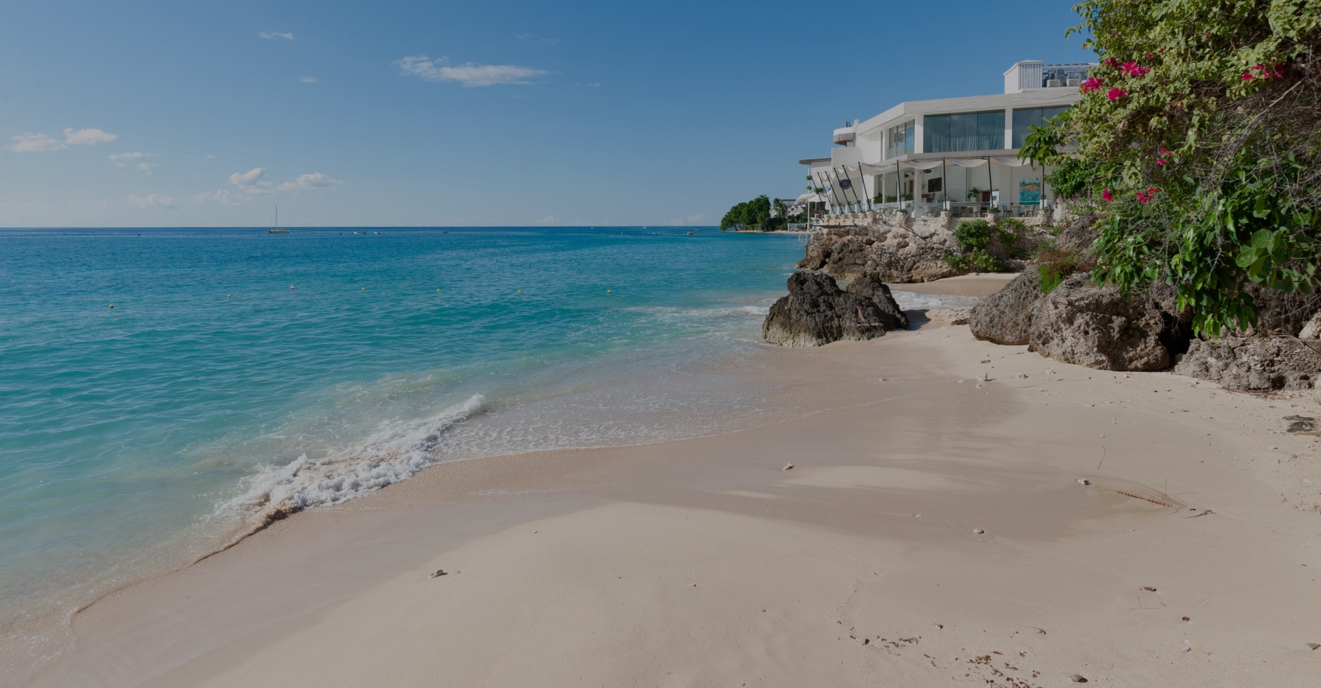 Real estate house hero image