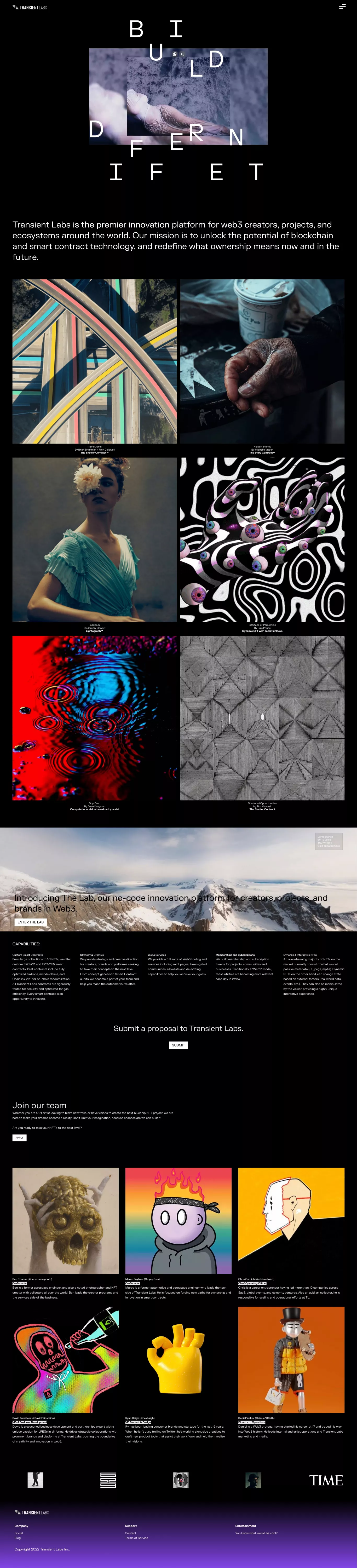 Transient Labs portfolio page screenshot showcasing Tech and Art design