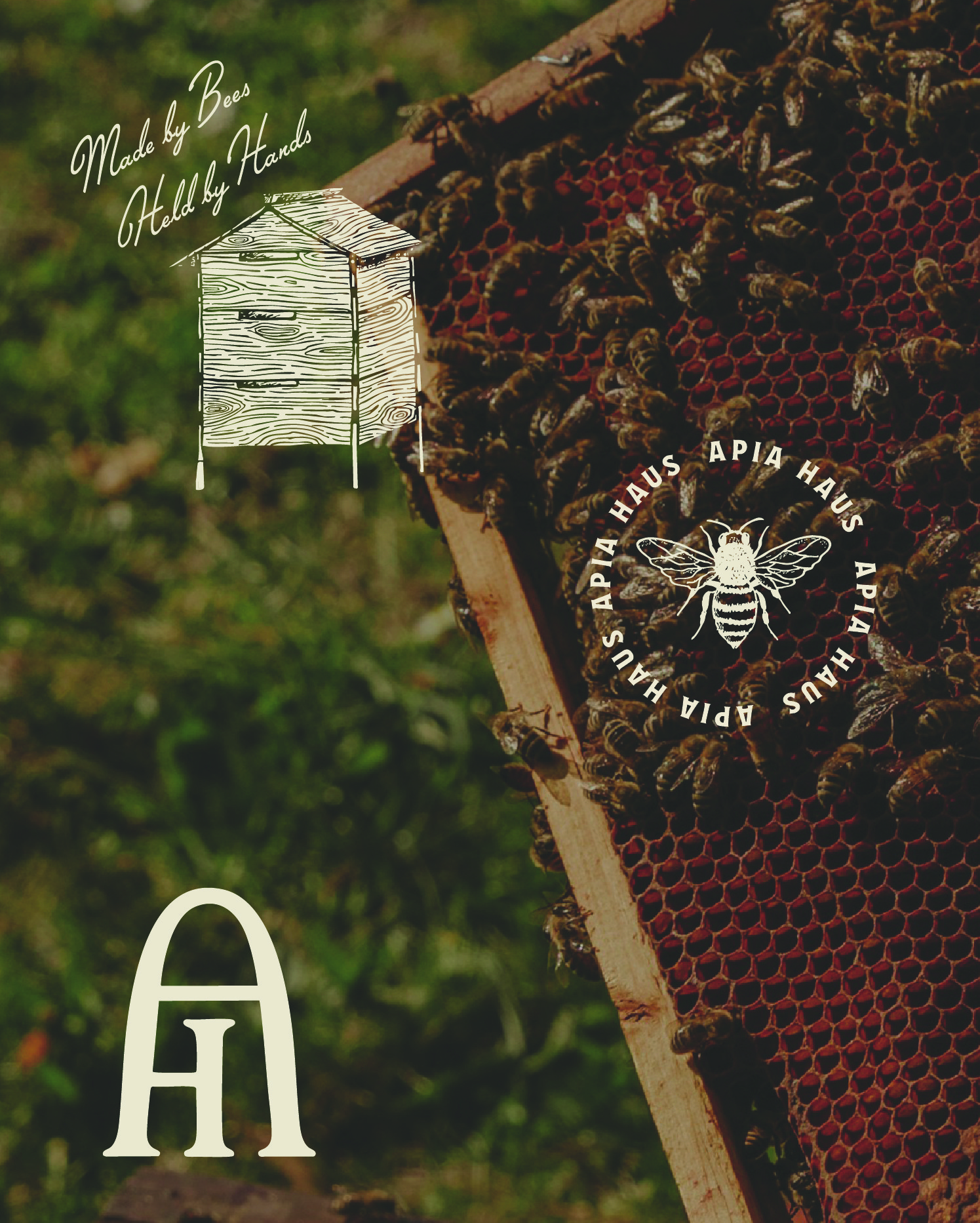 Handdrawn element for honey branding