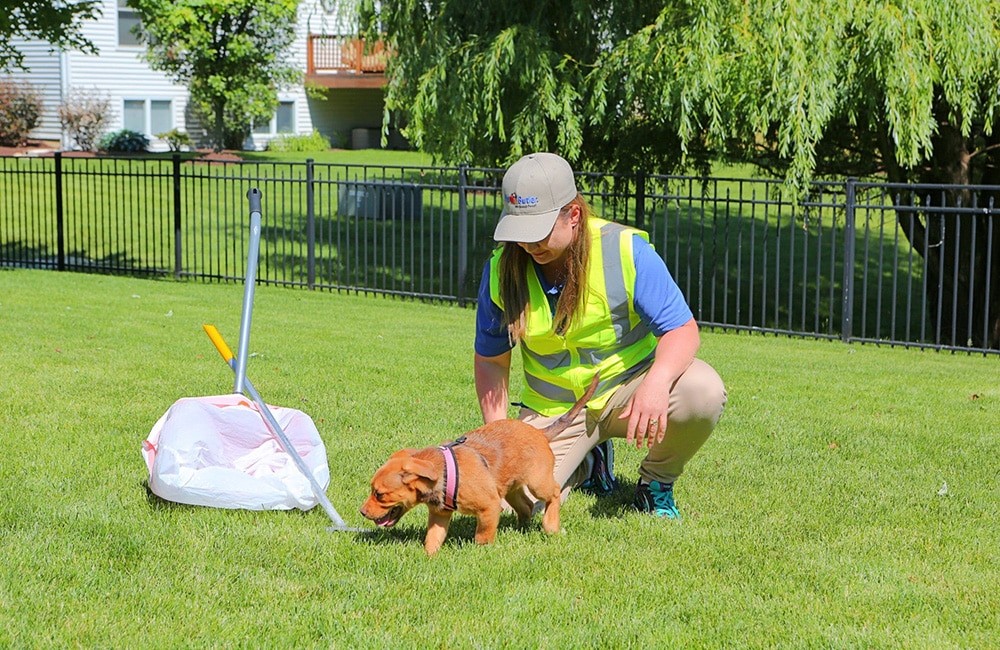 One of the Scoopers pooper scooper team in a yellow vest crouches to interact with a small dog on a sunny grassy field.