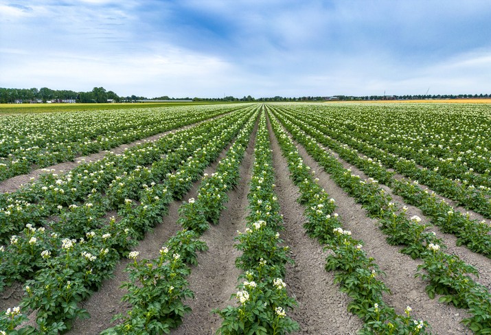 work image 02