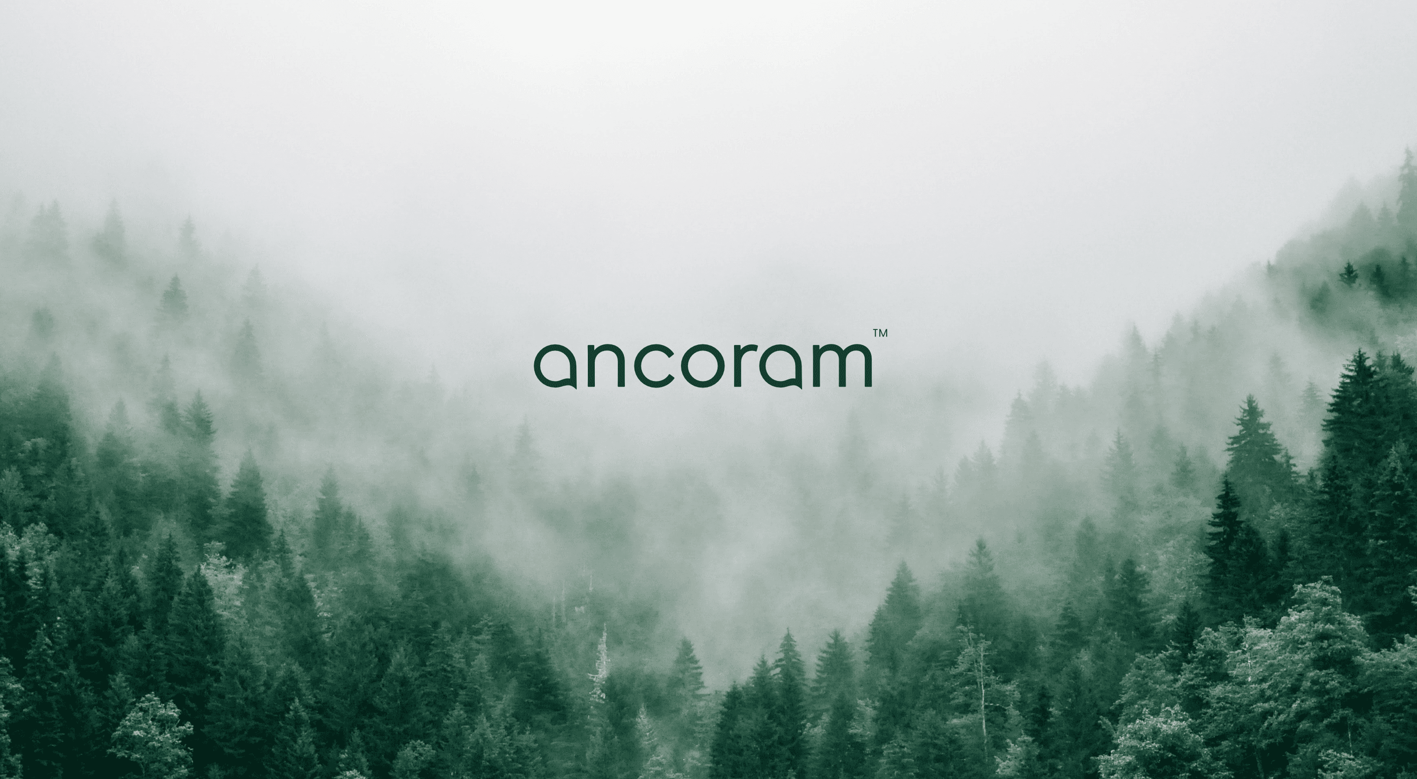 Green Fern