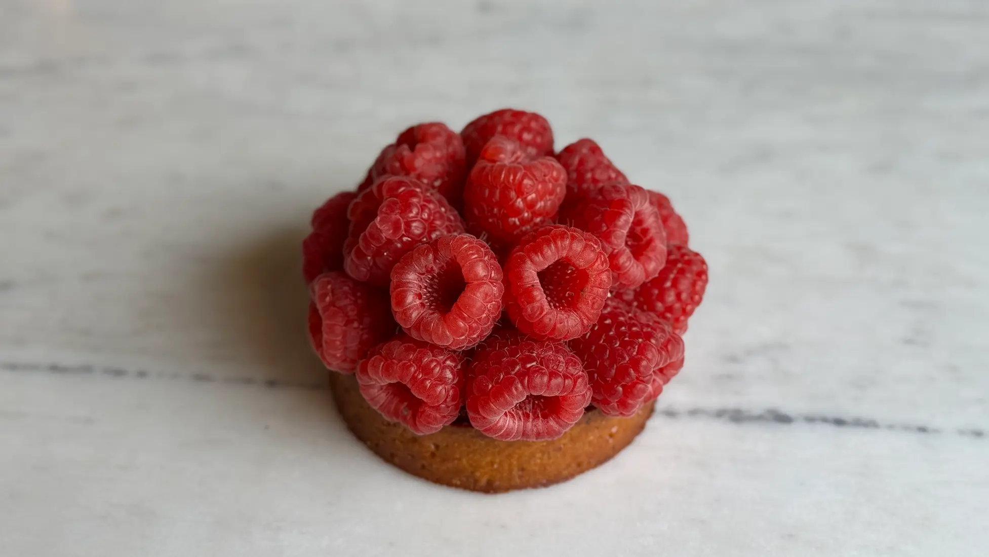 Fresh raspberry tart on shortbread cookie base