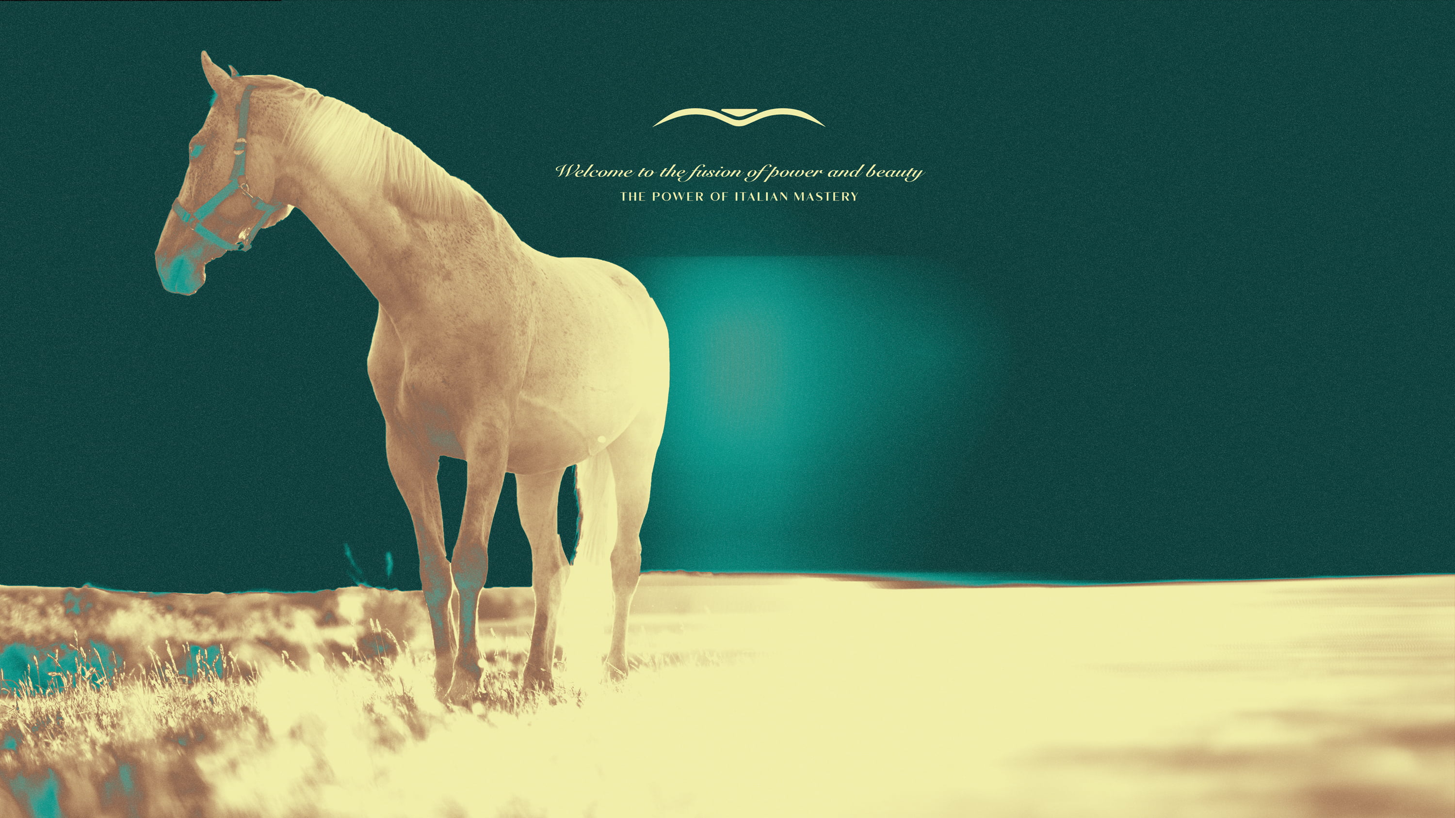 Man working on a laptop