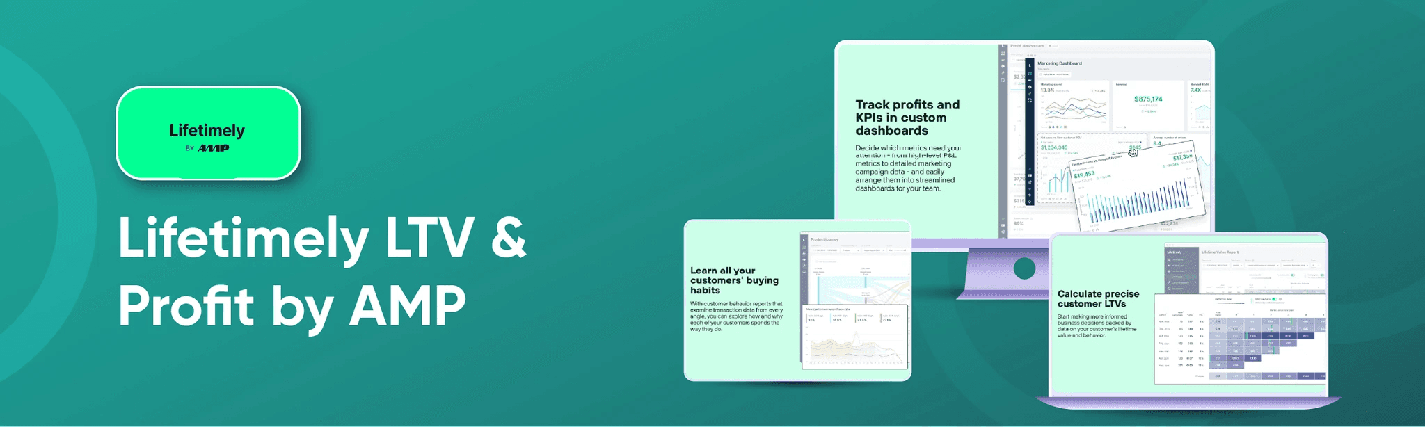 Lifetimely Shopify Analytics Tools