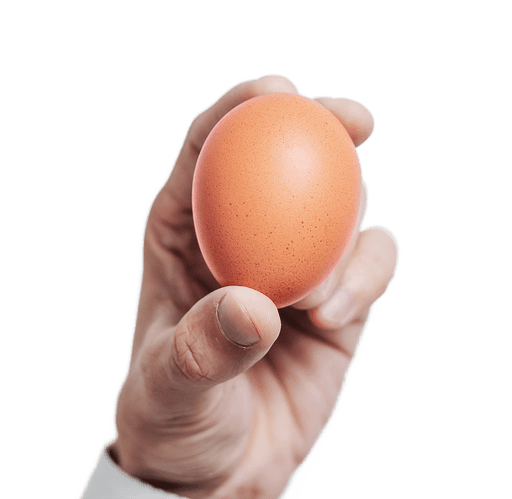 Jinyi Eggs