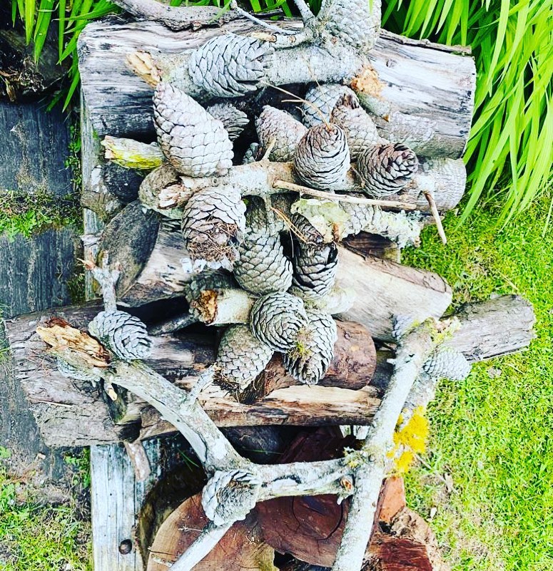 A woman receives a relaxing energy healing in a serene setting with soft lighting.