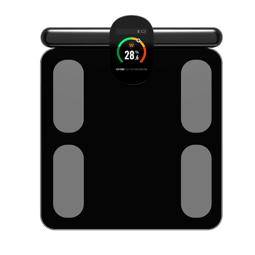 FitFlow (Background Removed) (Background Removed)