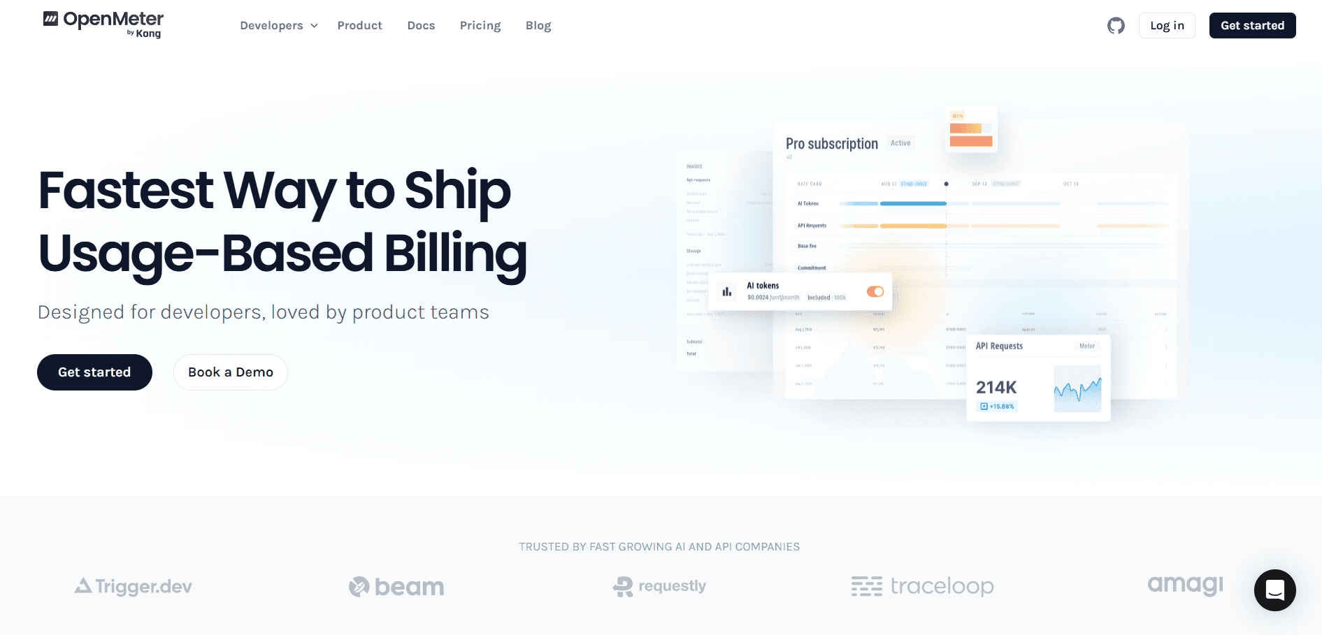OpenMeter home page