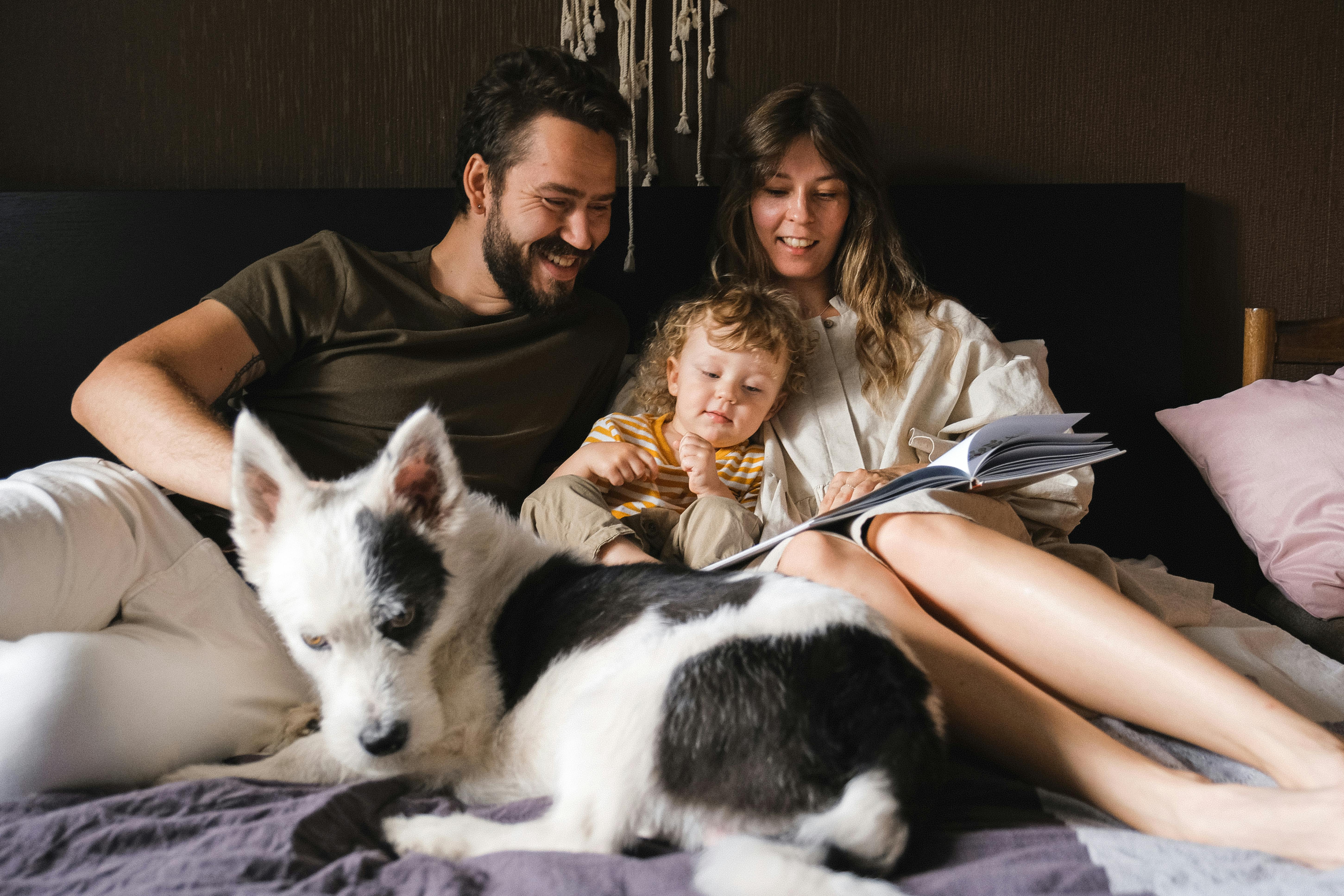 Family reading to child