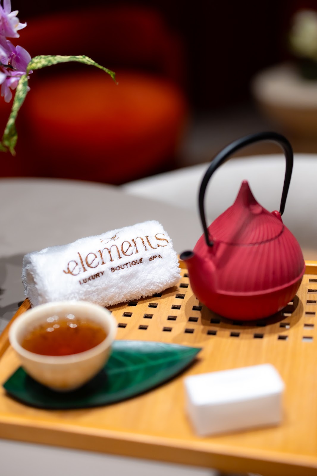Denisa and Nick Tache, founders of The Elements Luxury Boutique Spa, Bucharest's award-winning wellness destination.