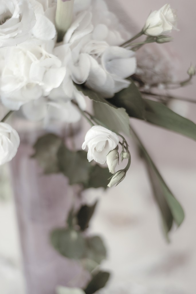 Rituel photographique — portrait artistique — confiance en soi — estime de soi — image de soi — fragment photographique — relique intime Maison Elion — photographe Seine-et-Marne 77 — portrait bespoke sur mesure — timeless photography France — photographie de rituel en France — portrait de luxe — image rare et significative