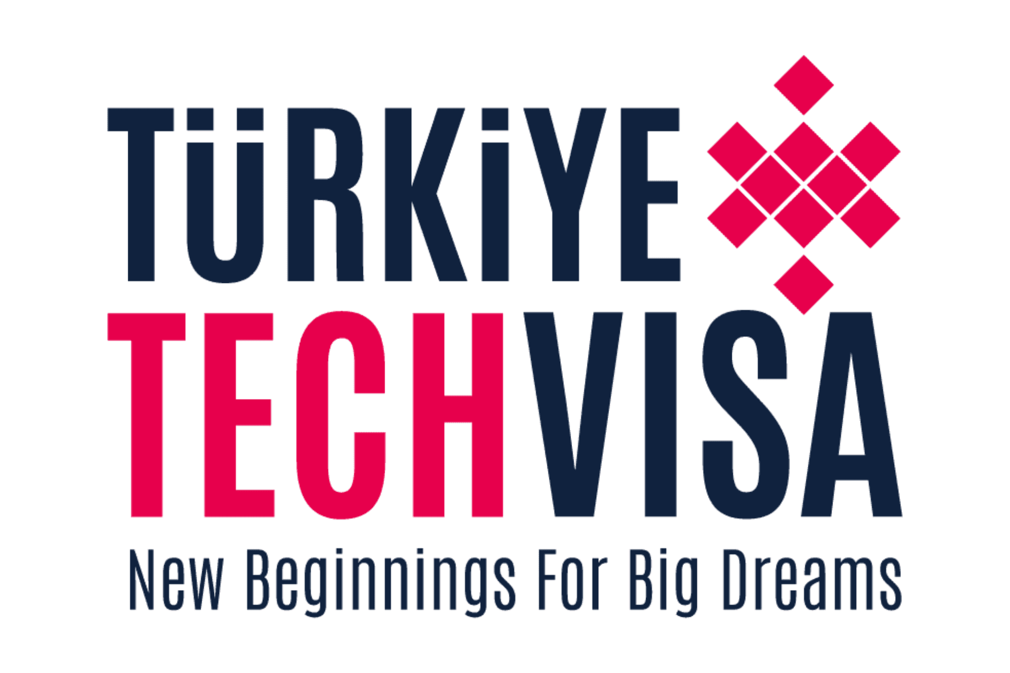 Türkiye's New Tech Visa