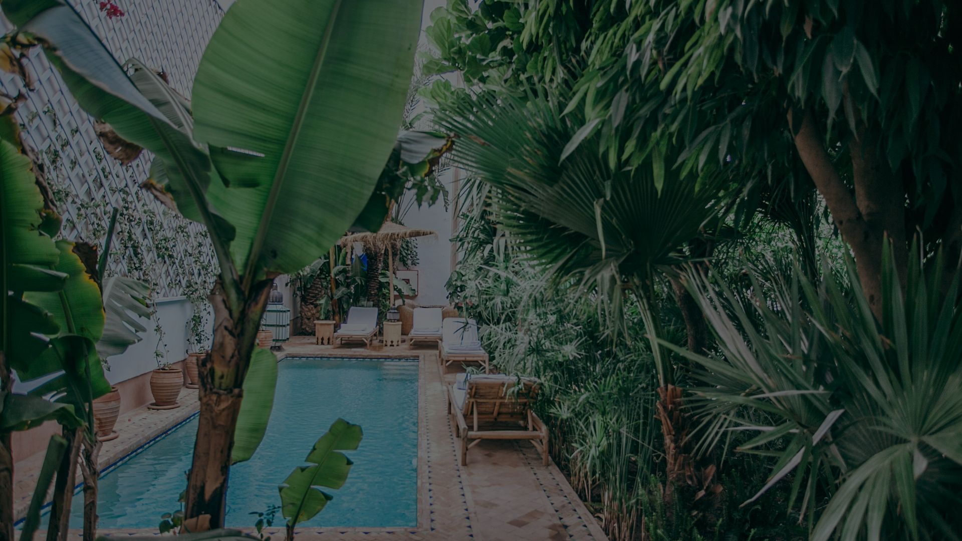 Consultor Arquitectonico