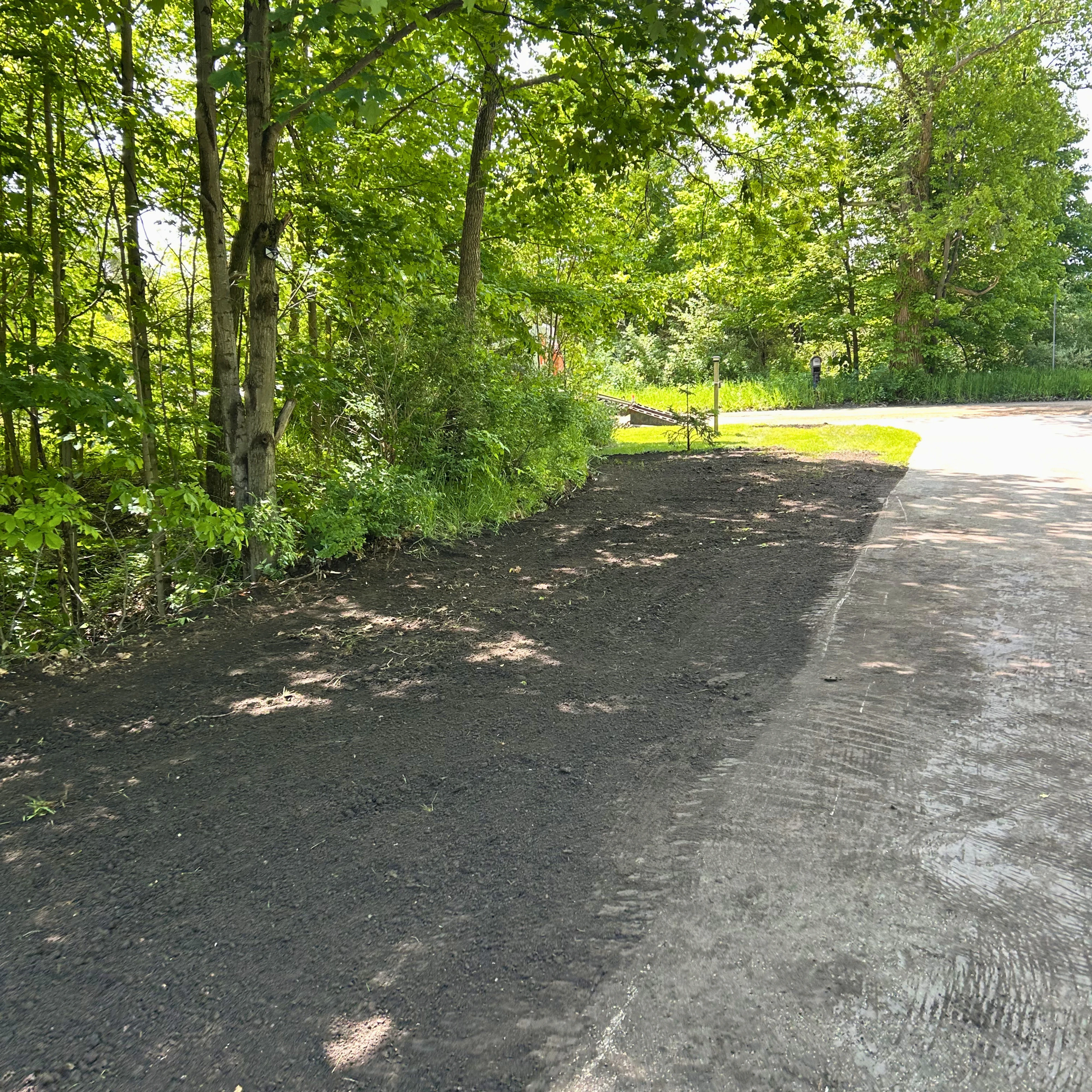 brown and green trees during daytime