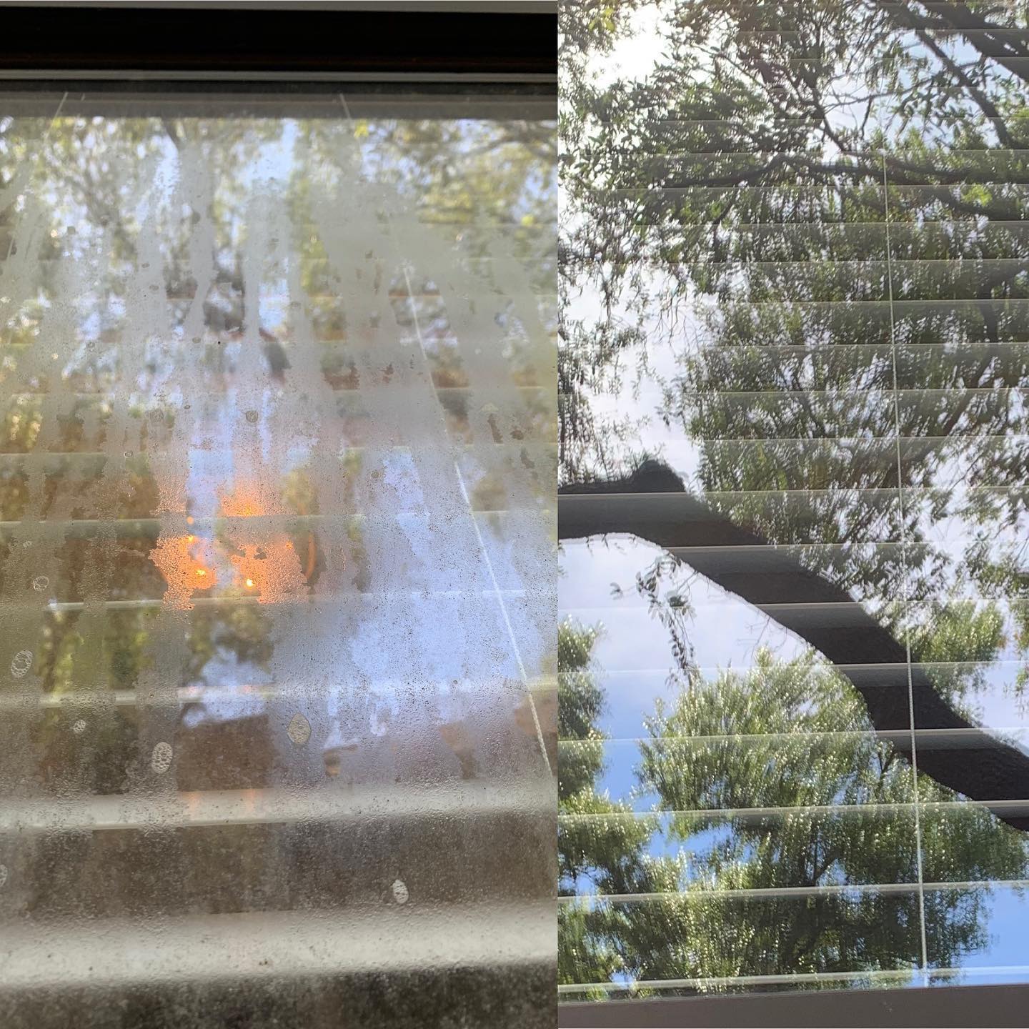 Window Cleaning