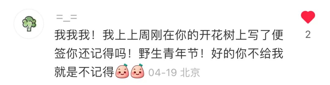 巨型导图展示内容