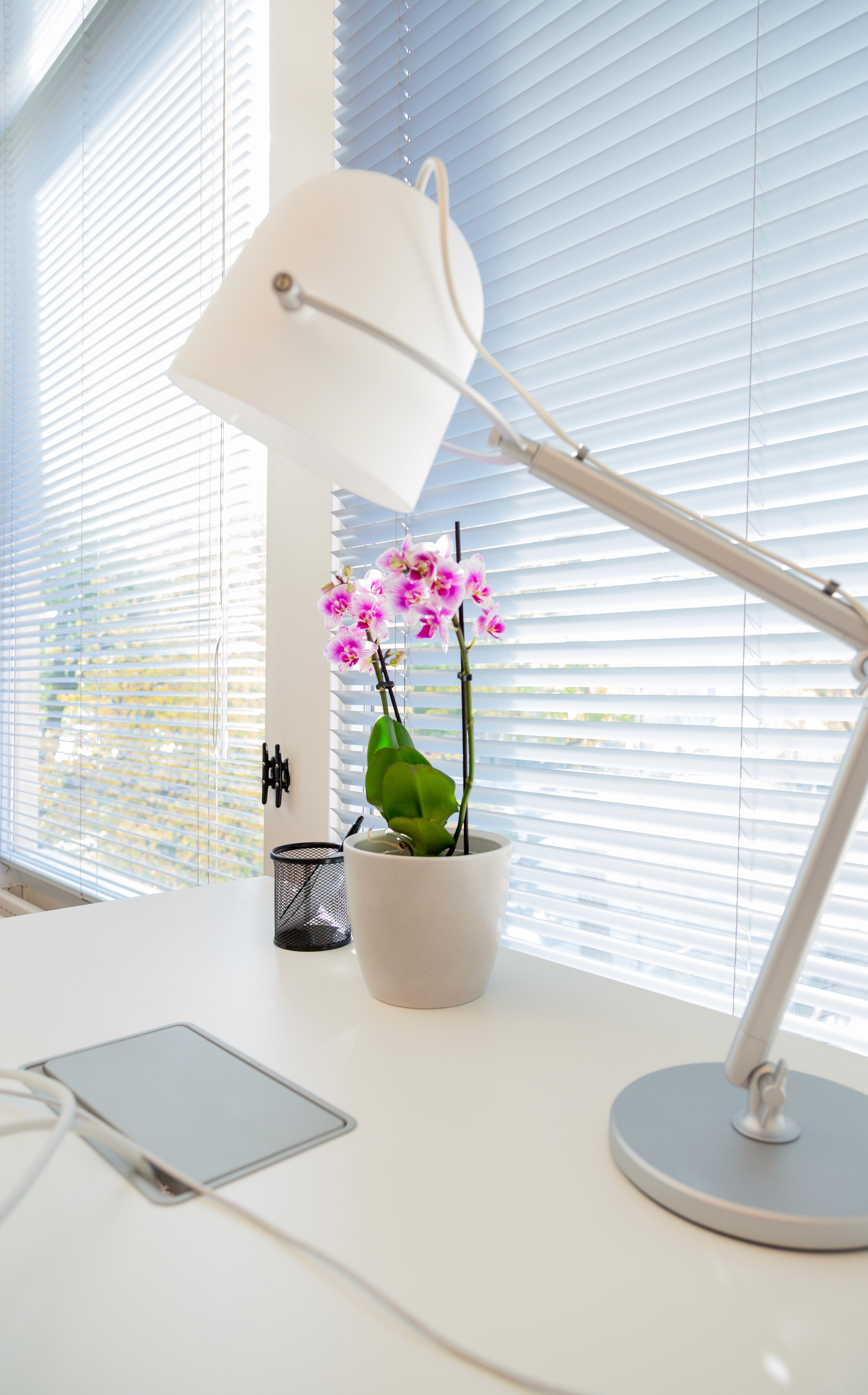 lead developer Lars Poort