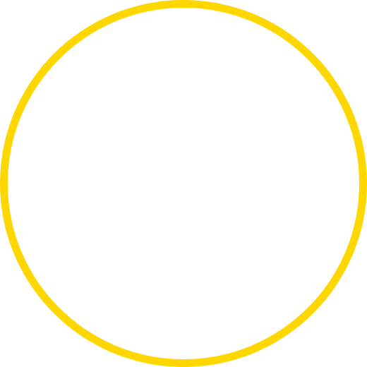Vector