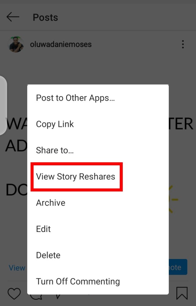 view instagram story reshares