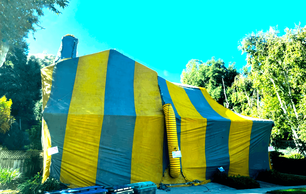 Saints Termite and Pest Control  Inland Empire Termite fumigation tent