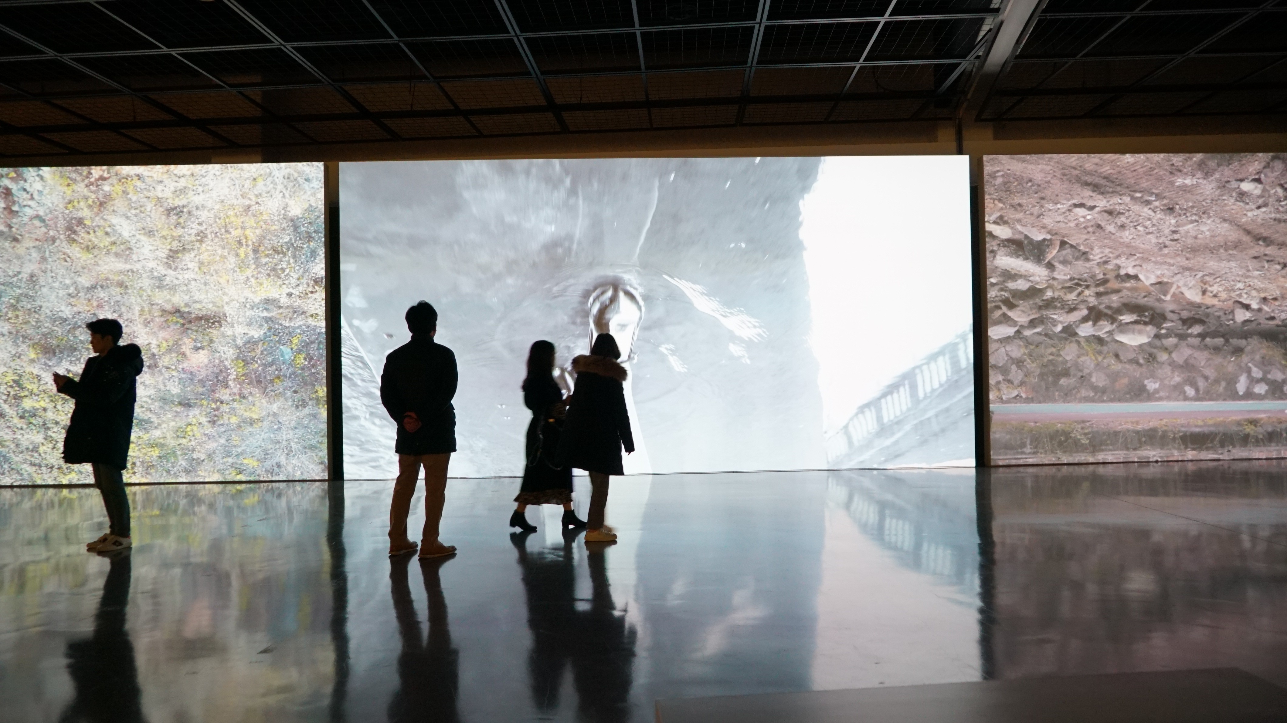 Potted plant in soft natural light