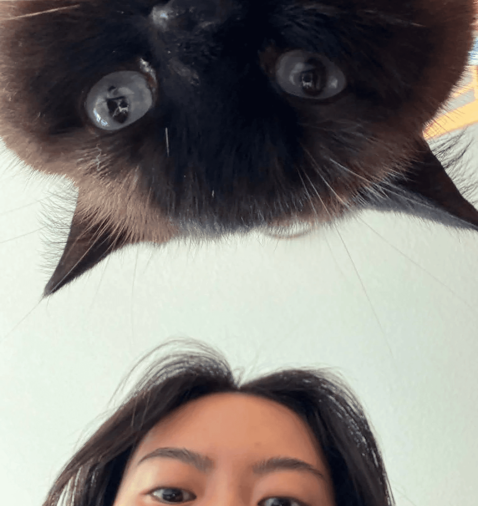 My partner in crime, Toki