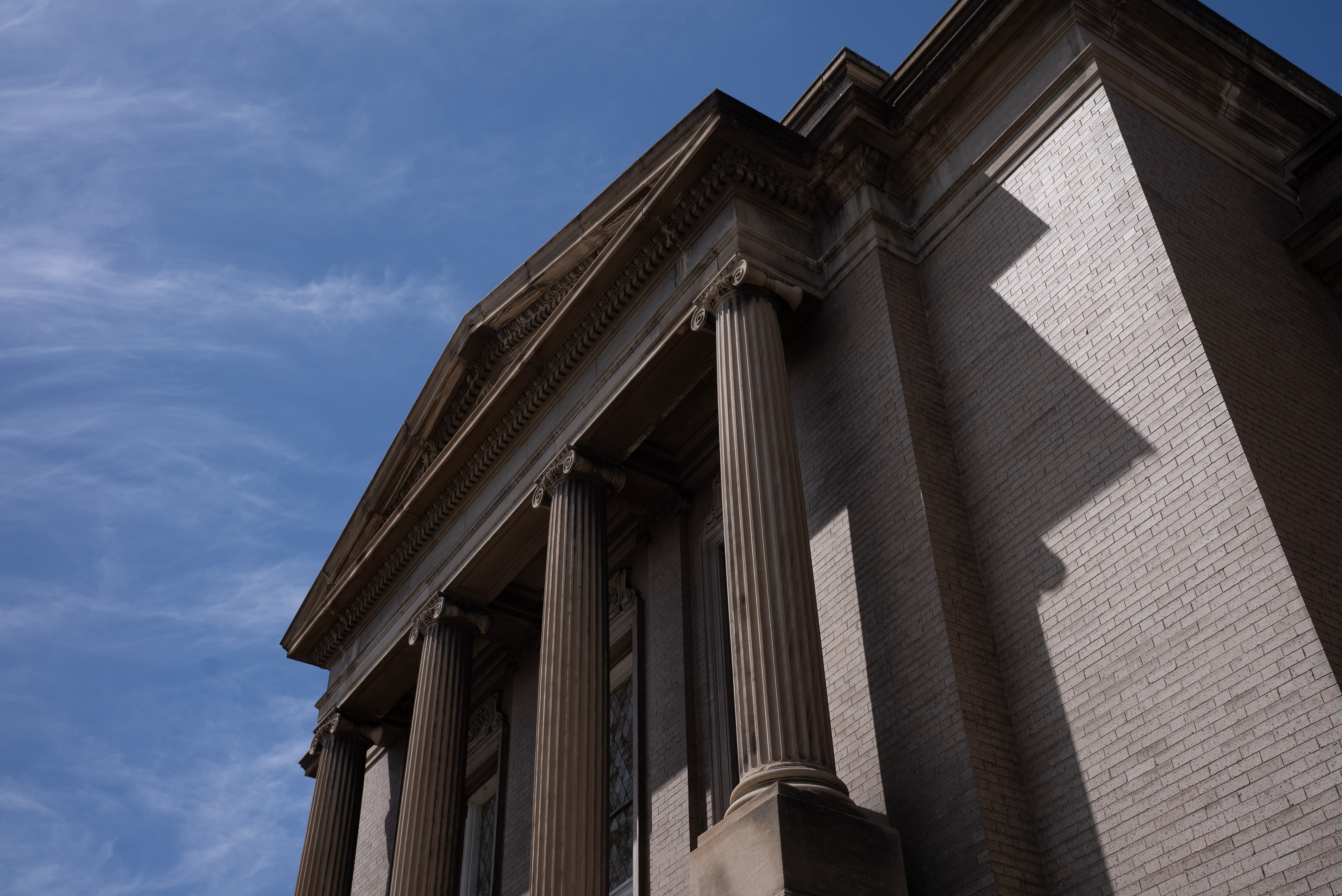 Profile portrait with natural lighting featuring long blonde hair