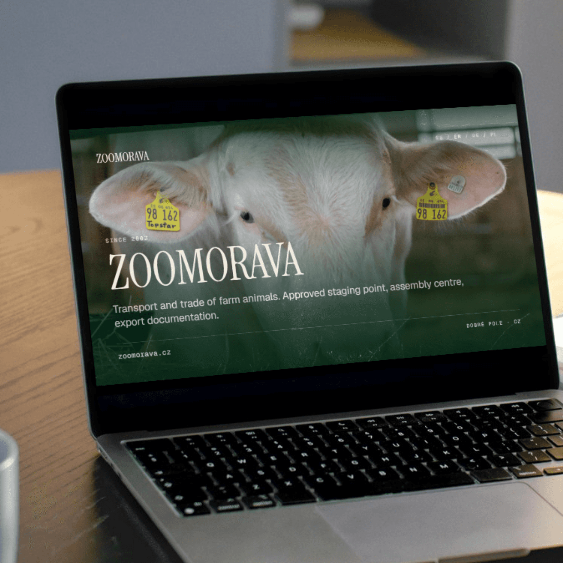 ukázka zoomorava