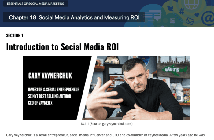 Screenshot from a digital textbook chapter titled “Social Media Analytics and Measuring ROI.” Section 1 introduces Gary Vaynerchuk, described as an investor, serial entrepreneur, bestselling author, and CEO of VaynerX.
