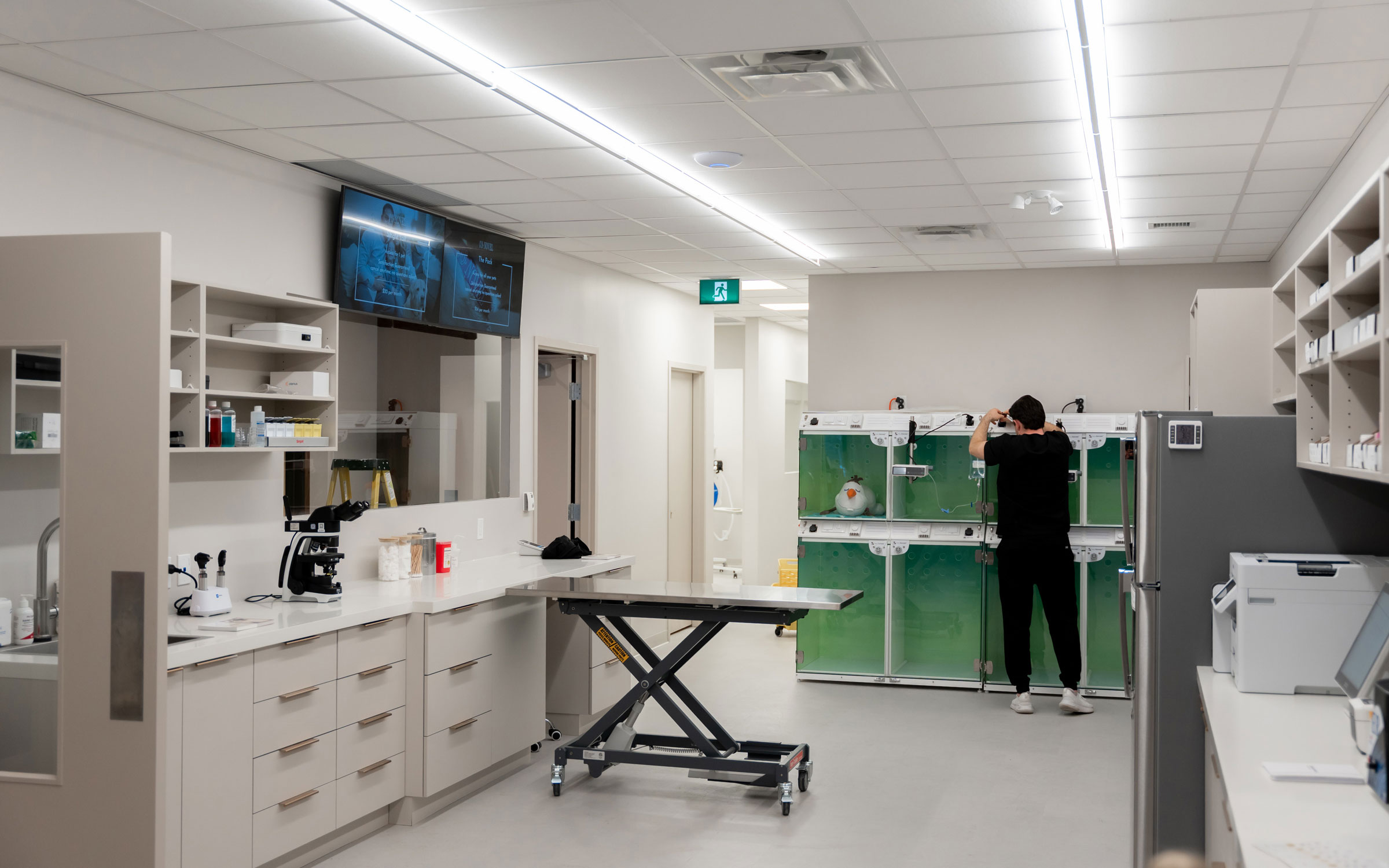 Health Screening Tests