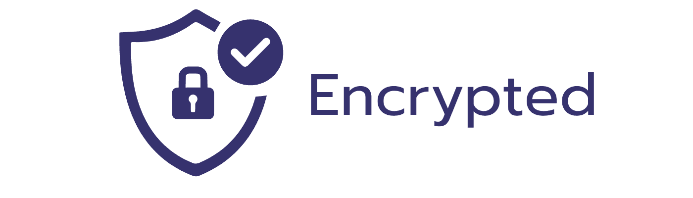 Icon with shield and a lock with encrypted typed in